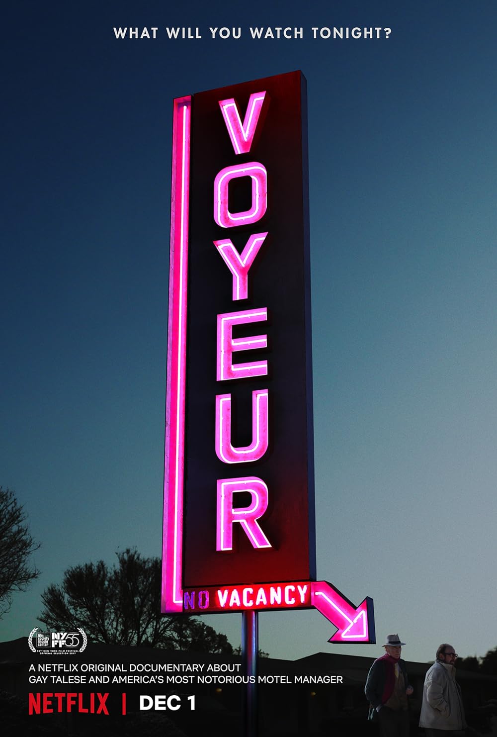 Voyeur Voyeur