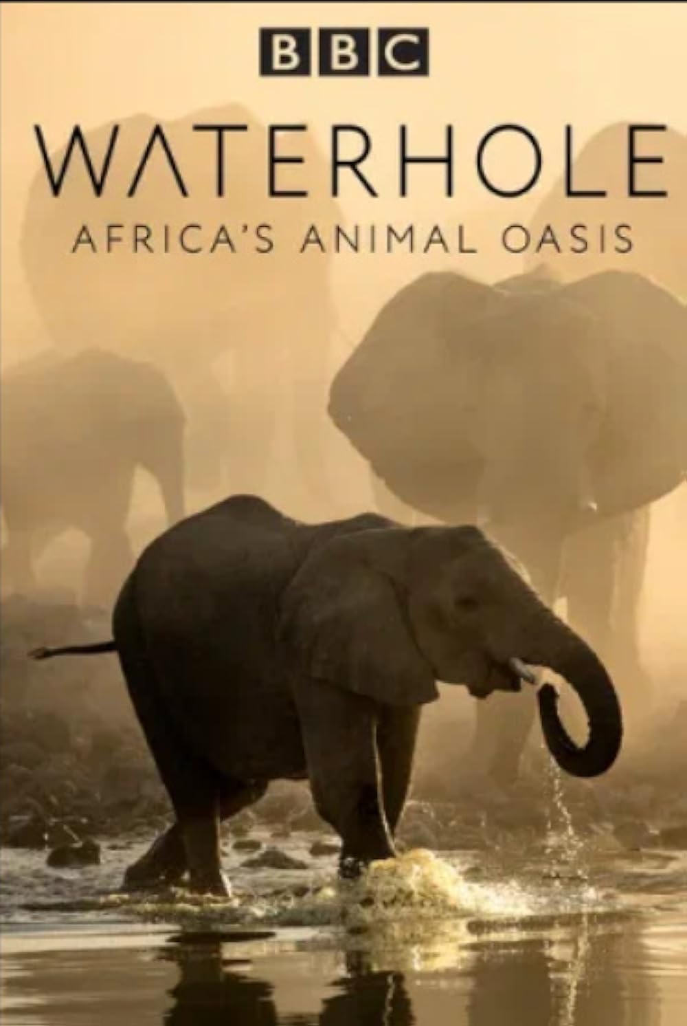 Waterhole: Waterhole: