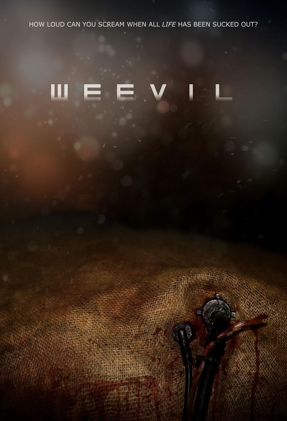 Weevil Weevil