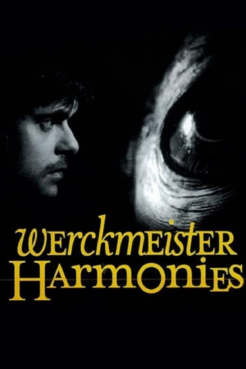 Werckmeister Werckmeister