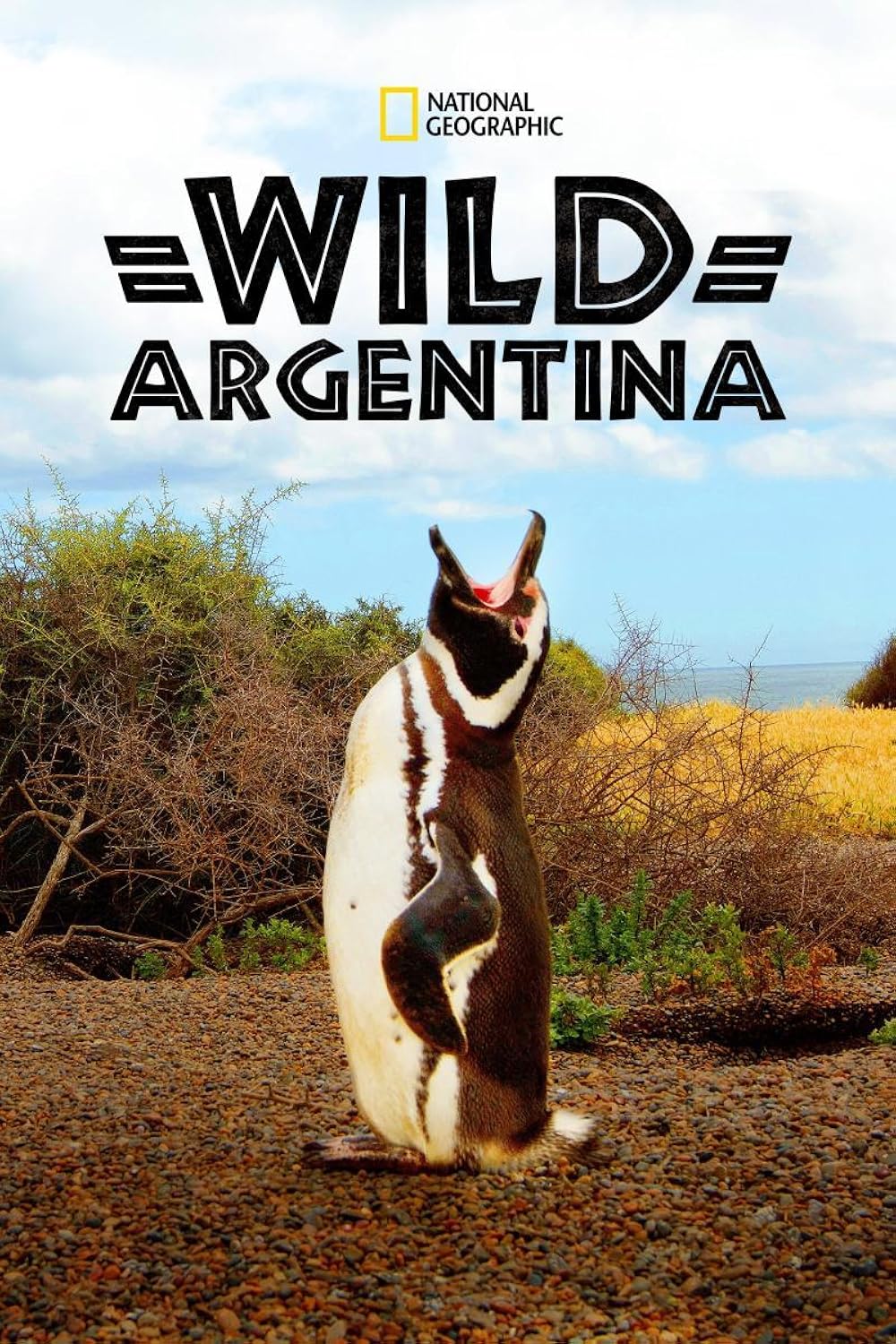 Wild Wild