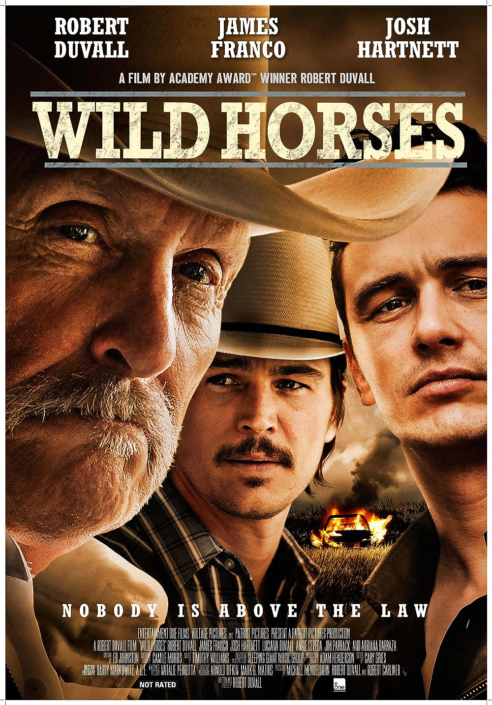 Wild Wild