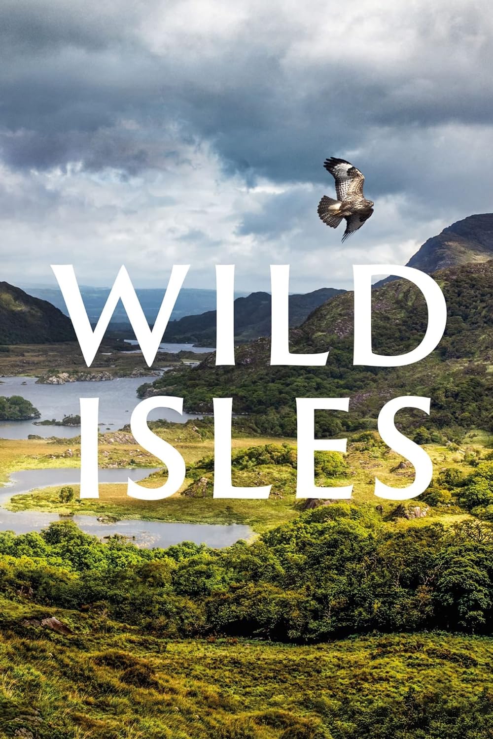 Wild Wild
