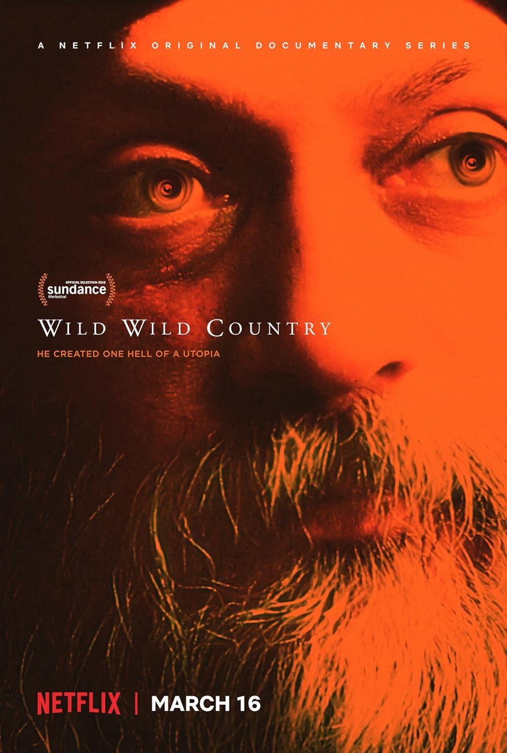 Wild Wild