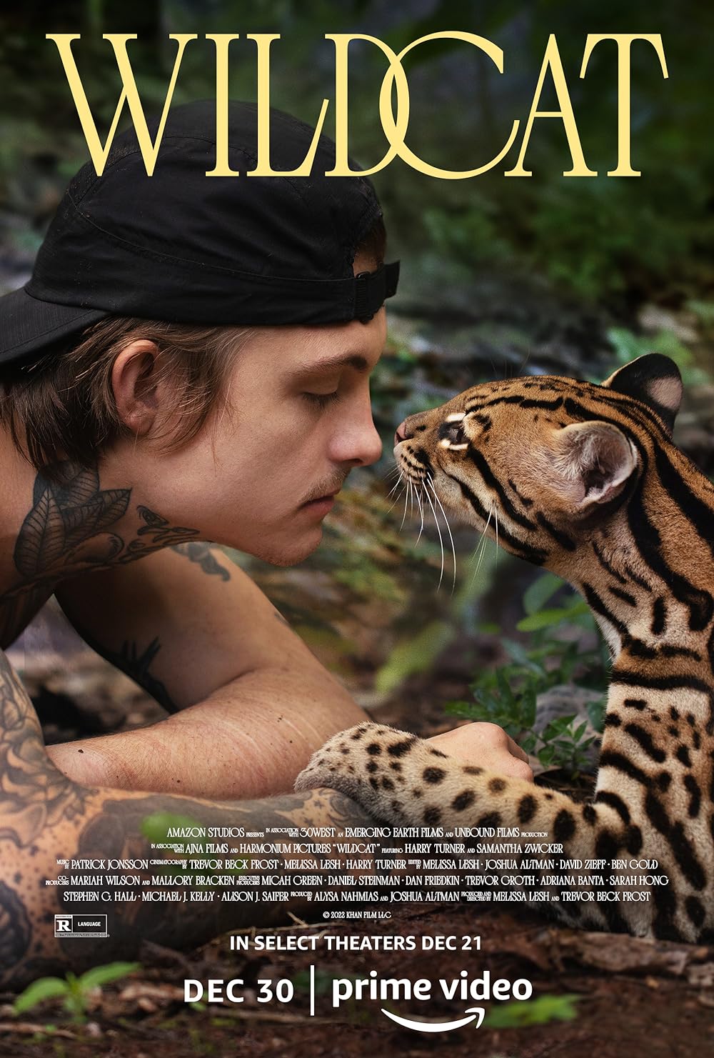 Wildcat Wildcat