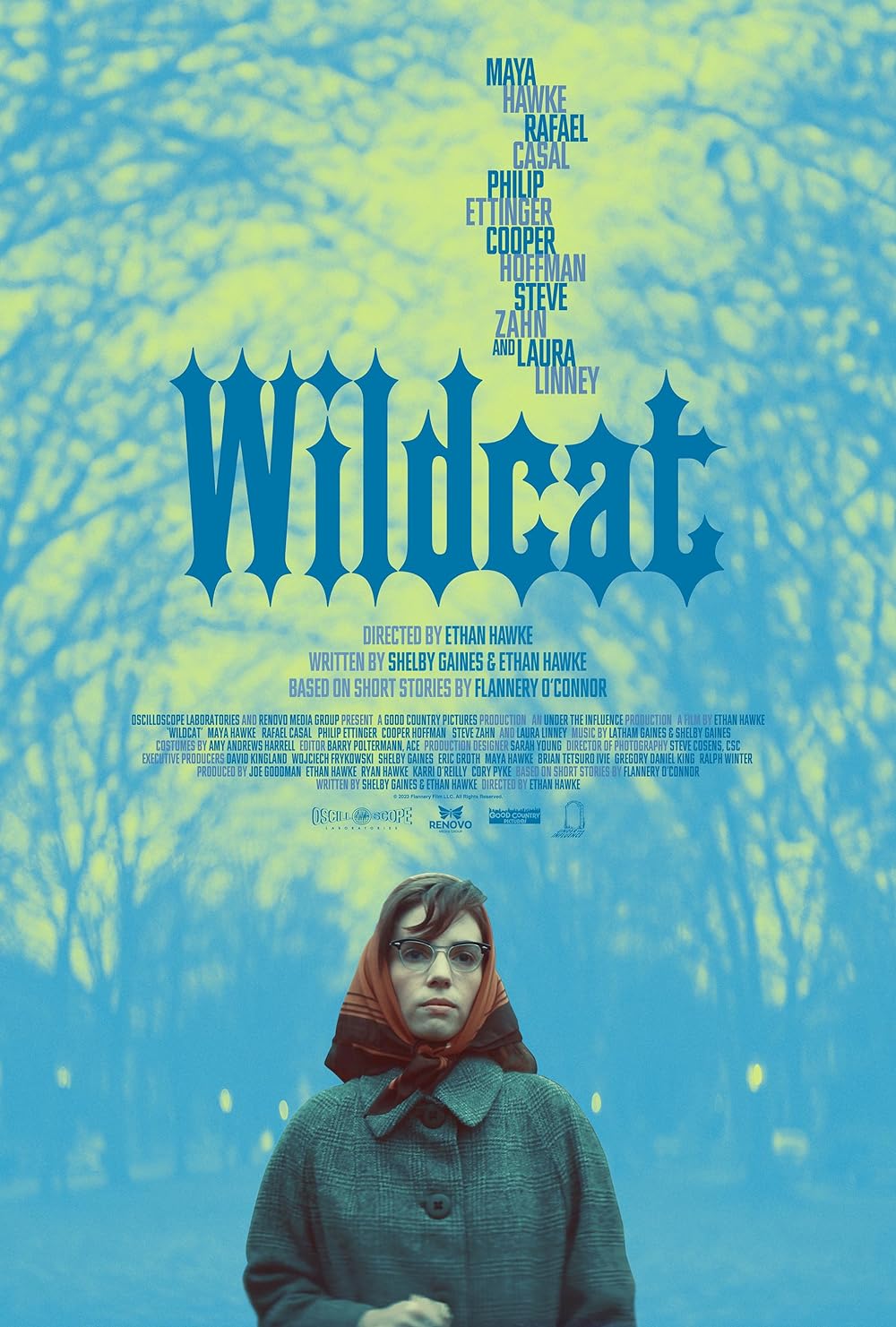 Wildcat Wildcat