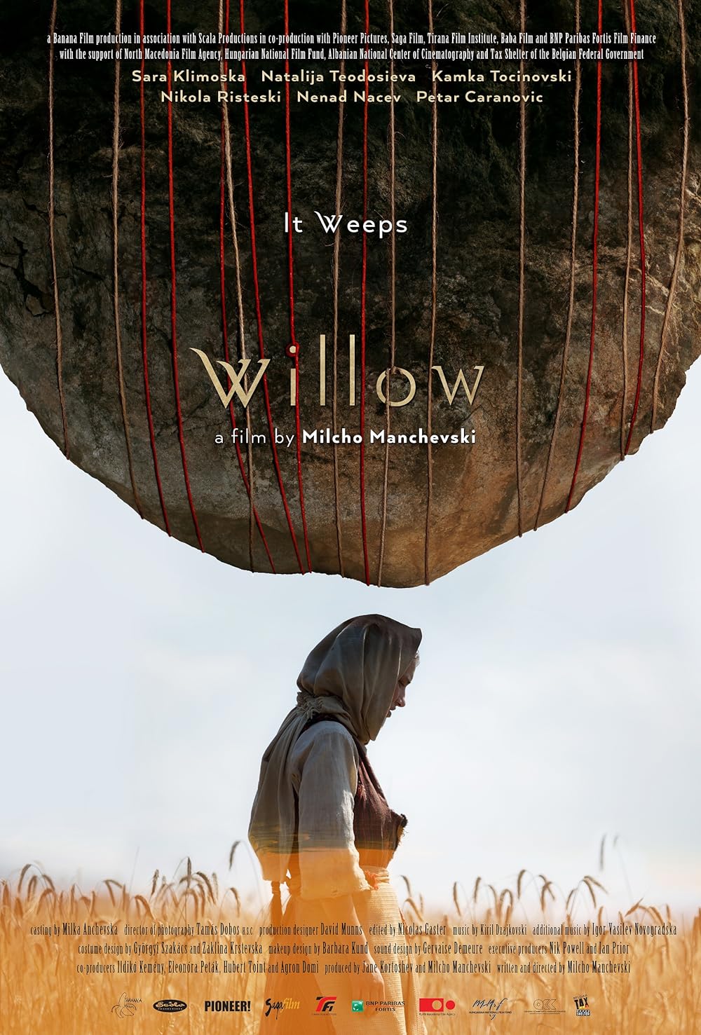 Willow Willow