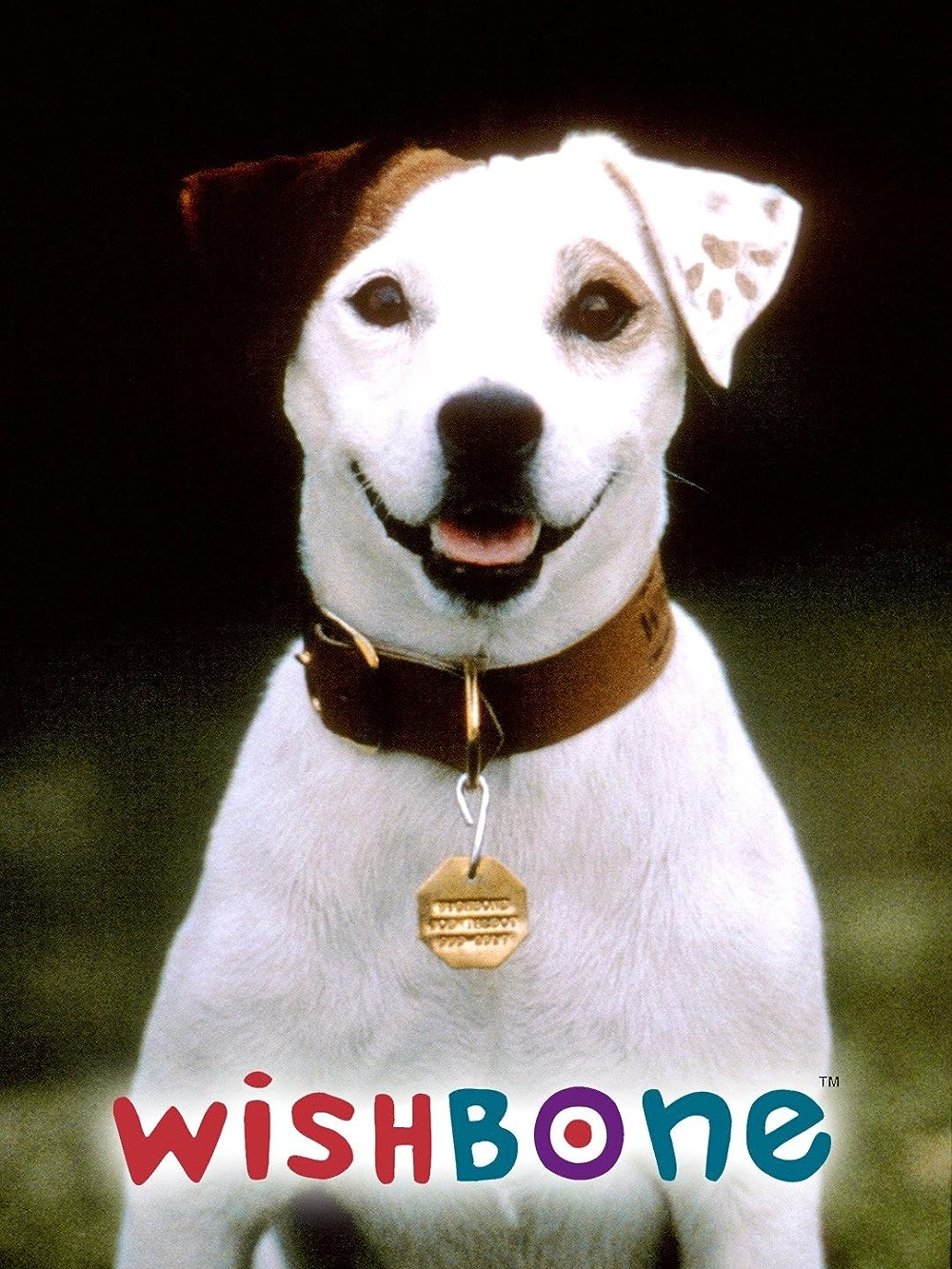 Wishbone Wishbone