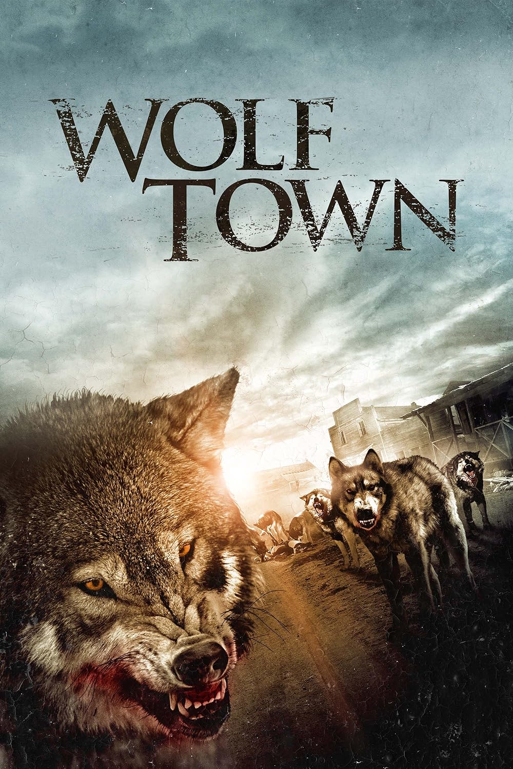 Wolf Wolf
