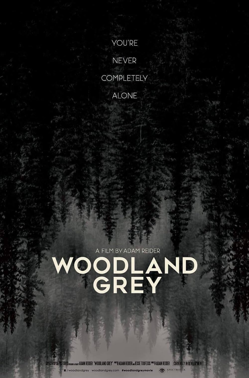 Woodland Woodland