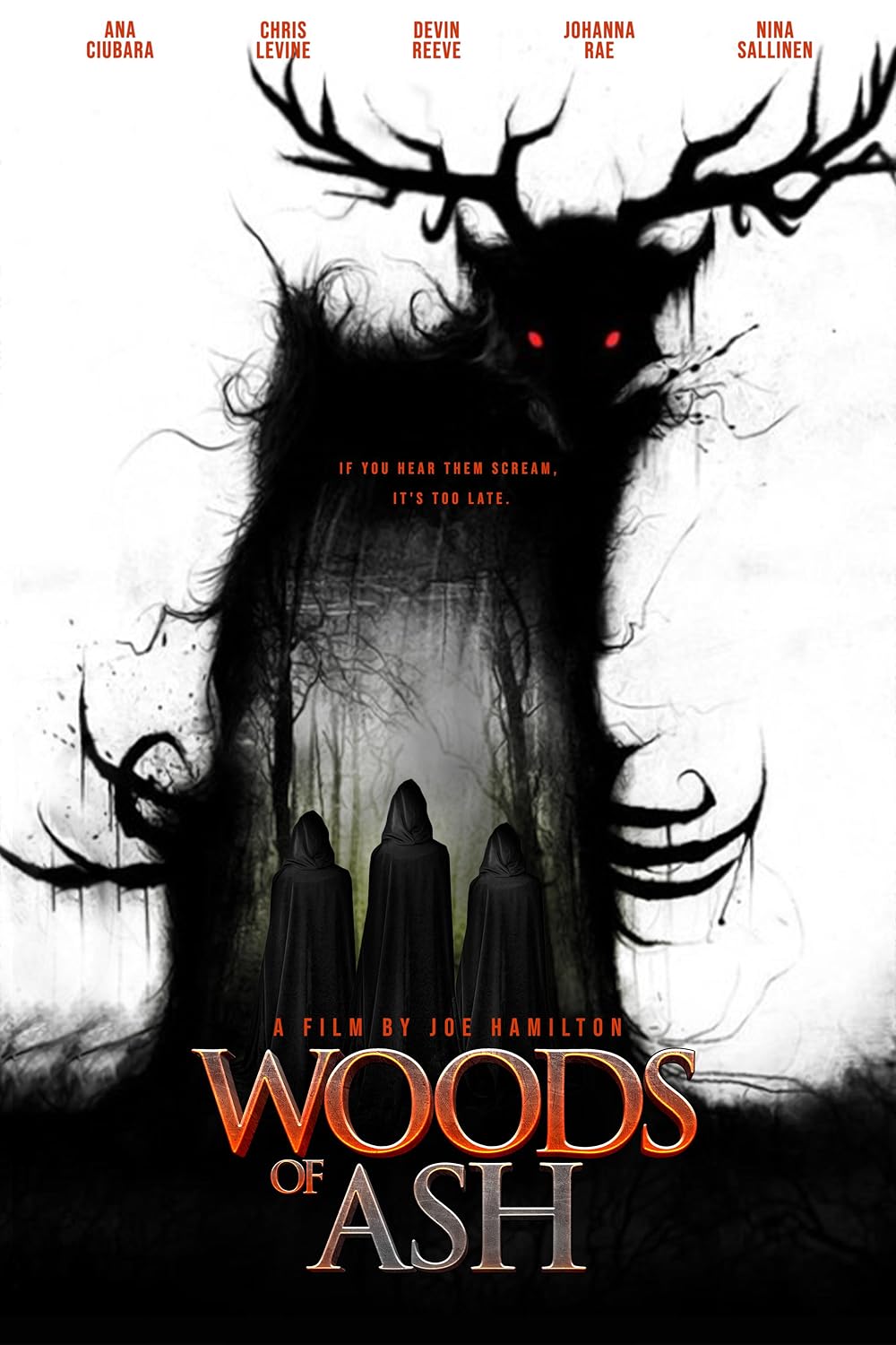 Woods Woods