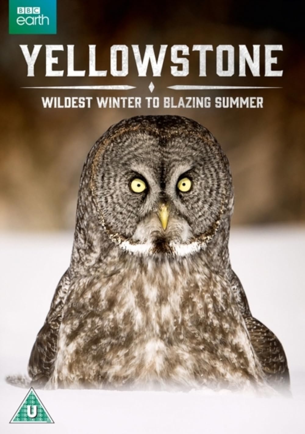 Yellowstone: Yellowstone: